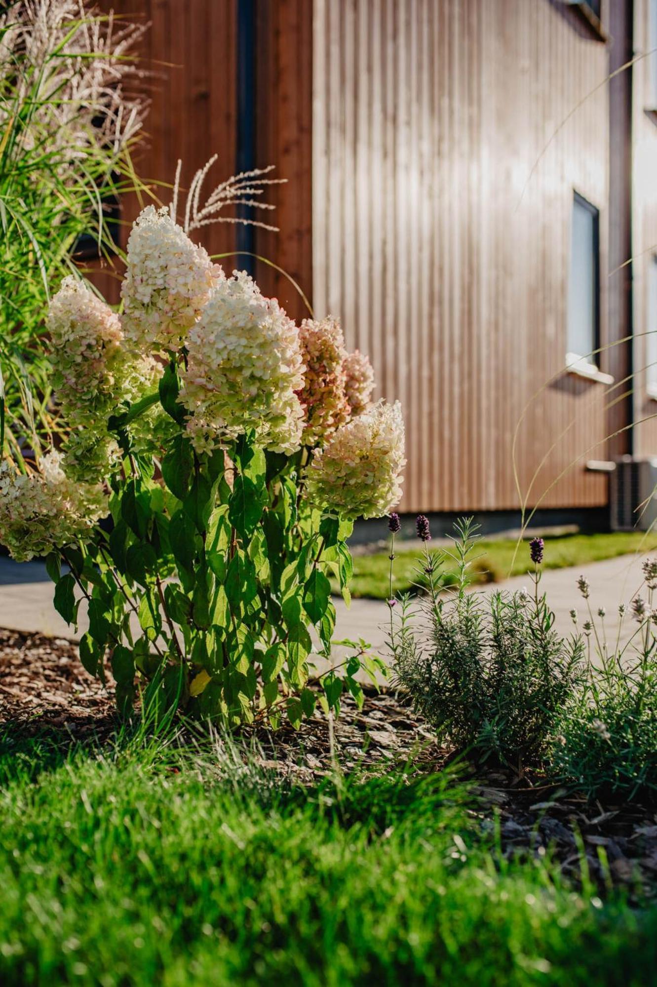 Apartmán Dwa Brzegi Międzywodzie Exteriér fotografie